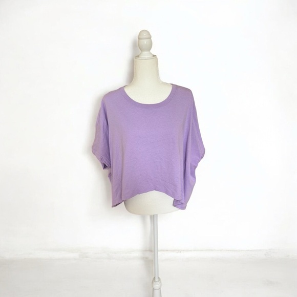 Tops - Lavender Cropped Knit Top